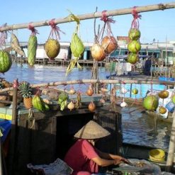 vietnam in classic 4