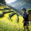 mesmerizing vietnam tour