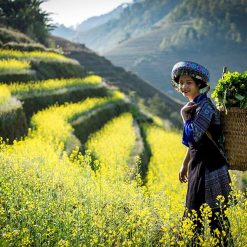 mesmerizing vietnam tour