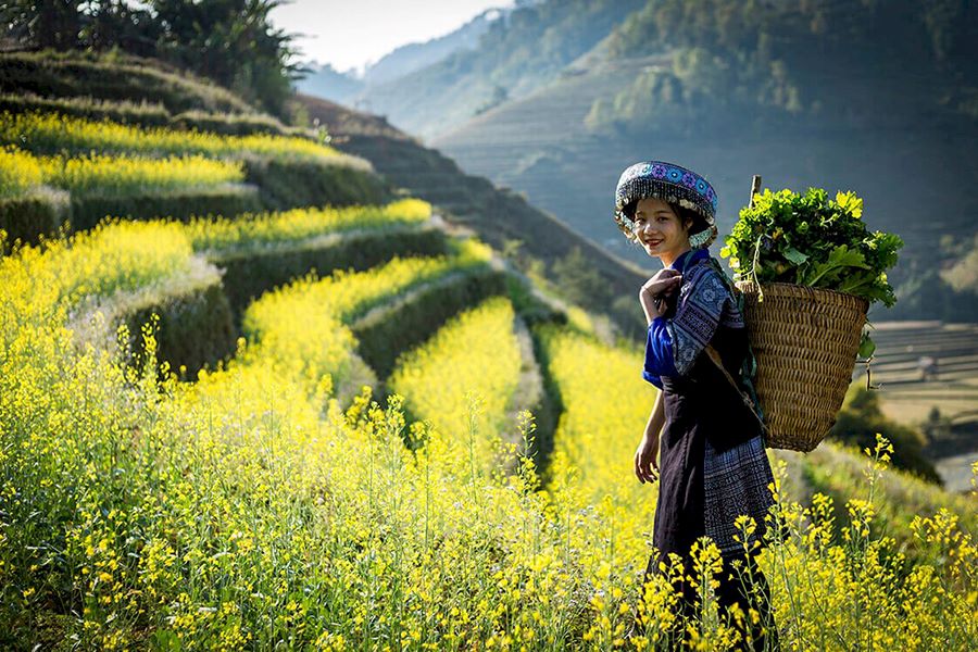 mesmerizing vietnam tour mesmerizing vietnam tour