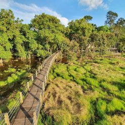 nam cat tien national park