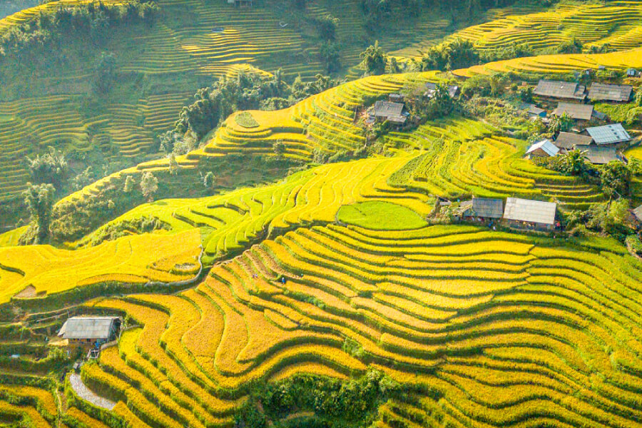 Autumn the best time to visit Sapa, Vietnam