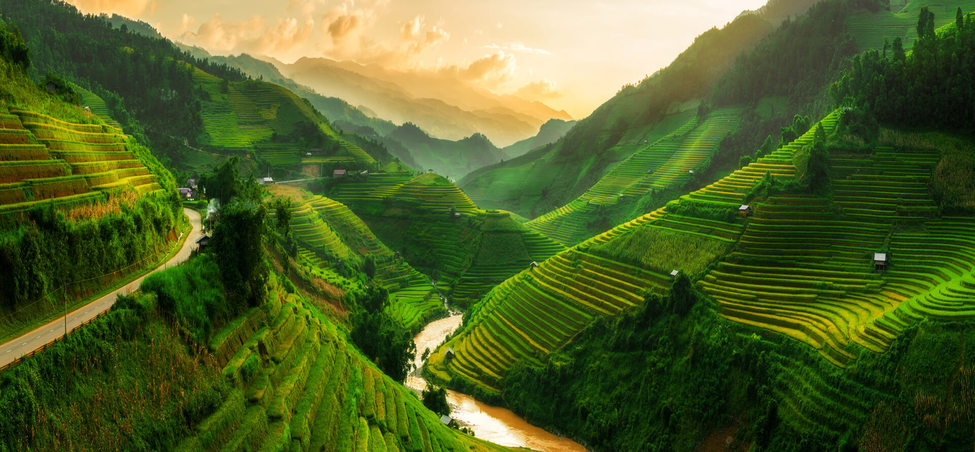 Vietnam Tour Company - Viet Future Profile