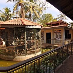 Cambodia Family Tour - 8 Days