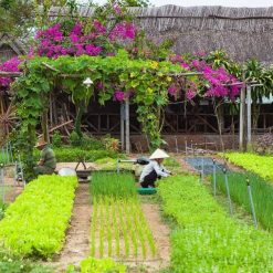 Central Vietnam Classic Tour - 5 Days