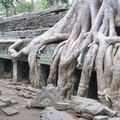Classic Cambodia Tour - 9 Days
