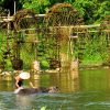 Cycle Northern Vietnam Tour - 8 Days
