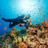 Phu Quoc Island Discovery Tour - 3 Days