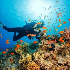 Phu Quoc Island Discovery Tour - 3 Days