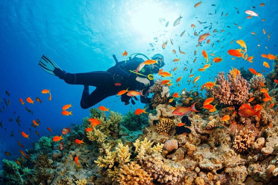 Phu Quoc Island Discovery Tour - 3 Days