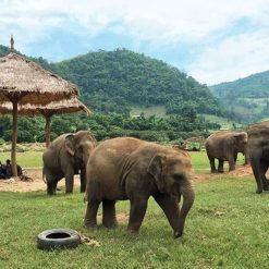 Premium Thailand and Vietnam Tour - 19 Days
